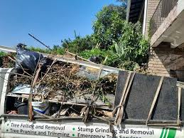 Best Attic Cleanout  in Harriman, TN