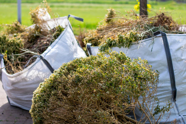 Best Residential Junk Removal  in Harriman, TN