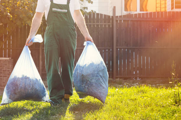 Best Shed Removal  in Harriman, TN