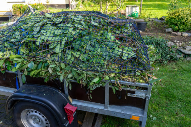 Best Shed Removal  in Harriman, TN